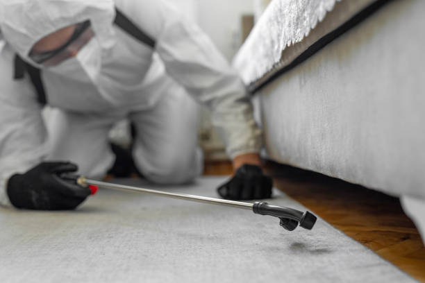 Professional Emergency Pest Control technician working in Spring Lake Heights, NJ